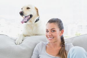 Renting with pets. The new rental laws in Victoria